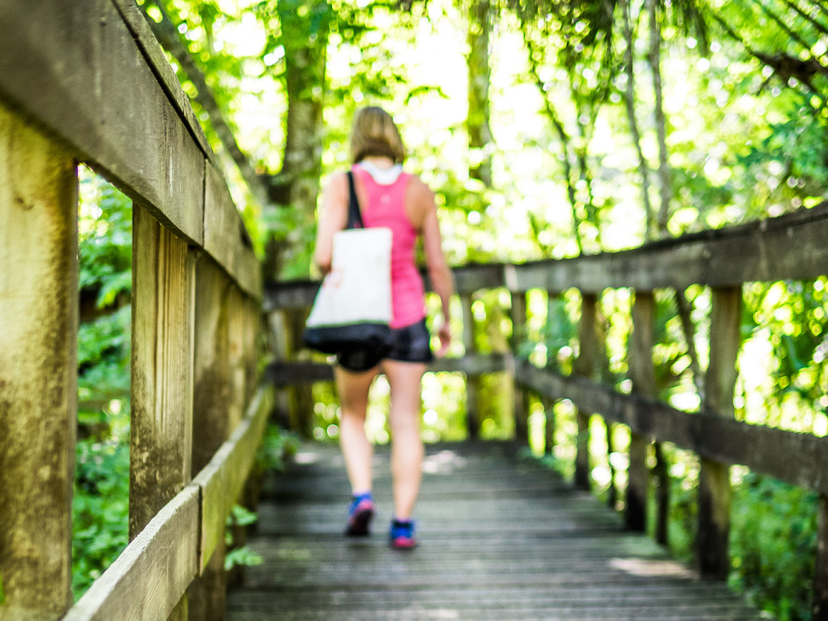 Turkey Creek Sanctuary – Florida Hikes