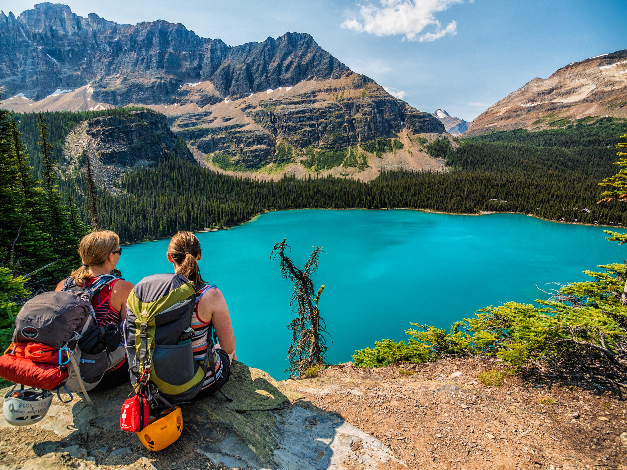 Unparalleled Canadian Hiking Lake Ohara All Skill Levels Welcome