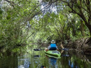 Kayaking Crane Creek on Florida’s Space Coast
