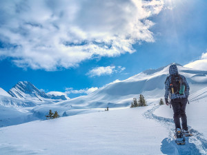 Make Alberta Your Spectacular Snowshoe Destination This Year